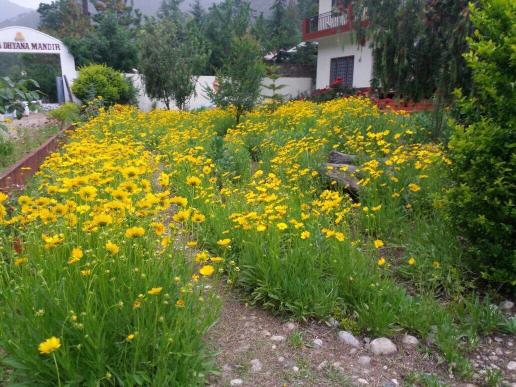 Anand Ganga Hotel Uttarkāshi Buitenkant foto